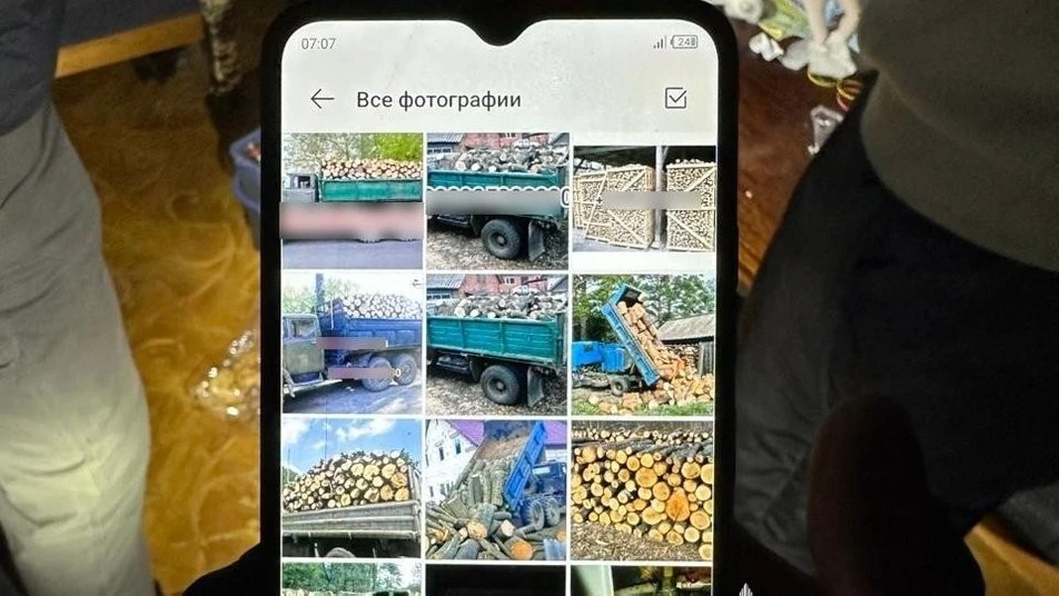 Фейкові дрова з-за ґрат: у Кривому Розі викрили шахрайську схему ув’язненого
