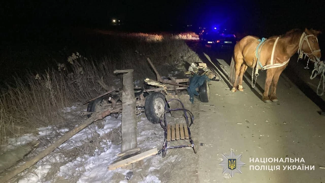 На Львівщині легковик зіткнувся з гужовою підводою – постраждала пасажирка