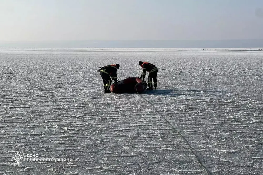 Крижана пастка на водосховищі: у Кам’янському врятували лебедя