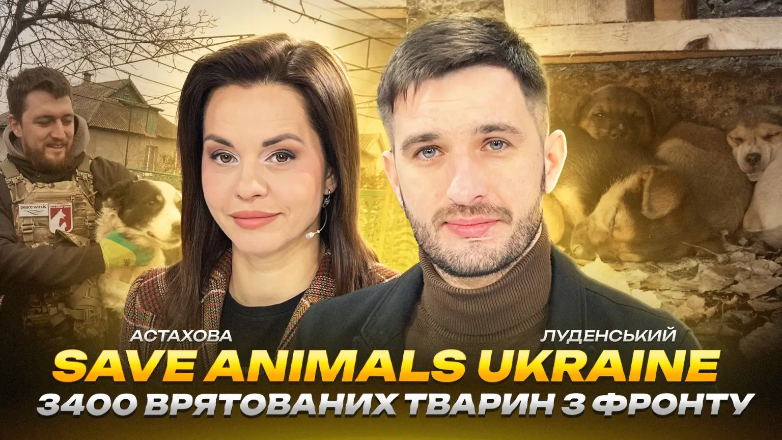 Місія милосердя під обстрілами: як волонтери Save Animals Ukraine рятують життя на фронті