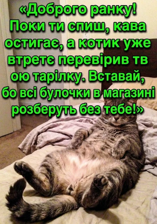 Картинки доброго ранку: найкращі та душевні листівки для гарного настрою