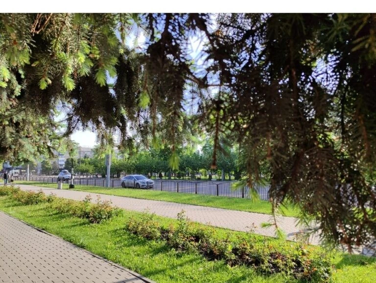 Прогноз: червень у Павлограді розпочнеться з комфортного тепла