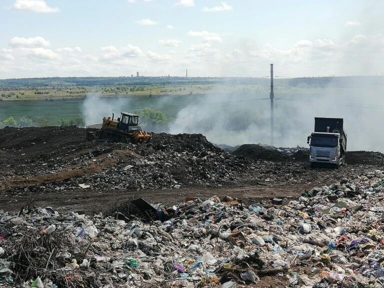 Несподівані гості на сміттєзвалищі: лелеки шукають прихистку посеред павлоградського полігону