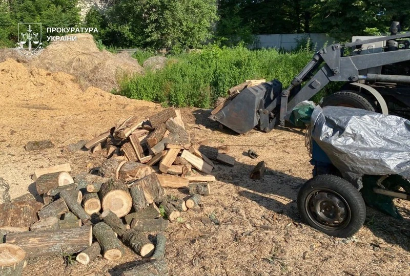 На Дніпропетровщині викрили масштабну схему незаконної вирубки лісосмуг