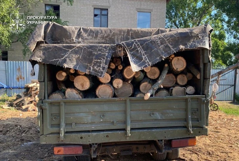 На Дніпропетровщині викрили масштабну схему незаконної вирубки лісосмуг