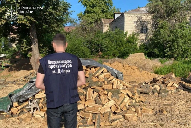 На Дніпропетровщині викрили масштабну схему незаконної вирубки лісосмуг