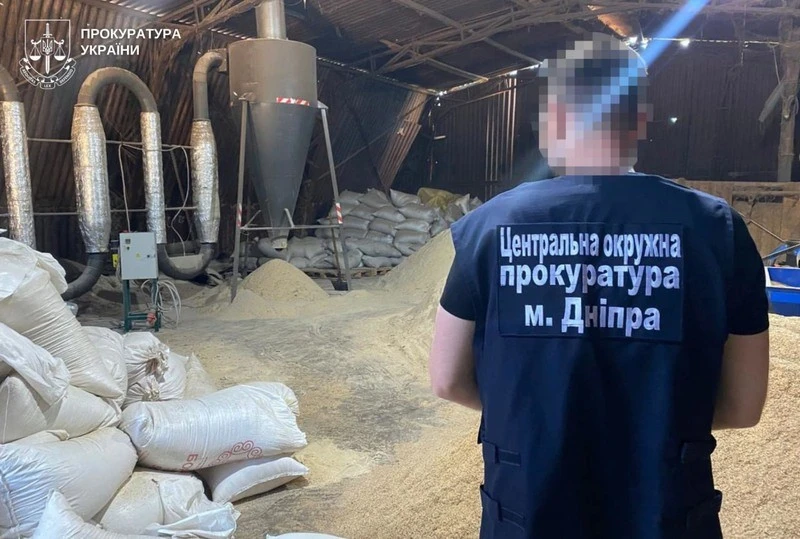На Дніпропетровщині викрили масштабну схему незаконної вирубки лісосмуг