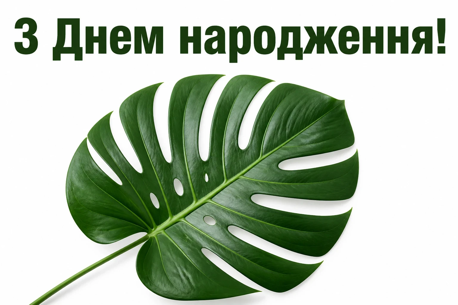 привітання з днем народження сваху привітання з днем народження сваху